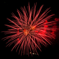 Fireworks on the black sky background.