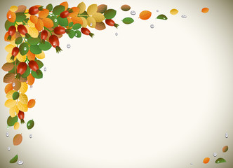 Autumn leaves with rose-hips, background