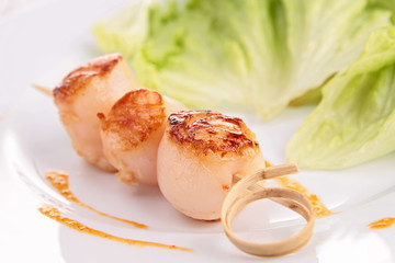 scallop