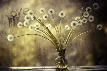 dandelions in white vase on the window