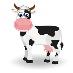 Cute black and white cow