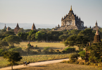 Horse car in the plain of Bagan at sunset, Myanmar