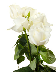 Obraz premium Bouquet of beautiful roses isolated on white