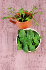 Brown round bowl of fresh mint leaves and cup of mint branches © Africa Studio