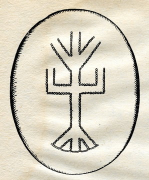 World tree of evenk people