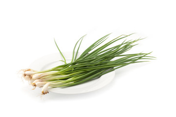 spring onion isolated