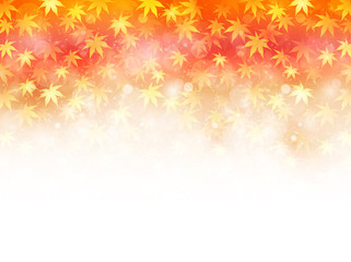 もみじ　紅葉　背景