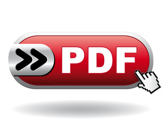 PDF ICON