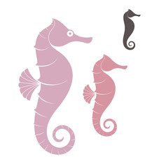 Sea Horse