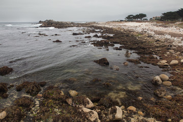 Fototapeta na wymiar Monterey Marine Sanctuary
