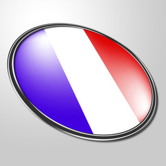 French Badge Represents National Flag And Badges