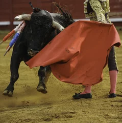Photo sur Plexiglas Tauromachie El Toro - Corrida de corrida