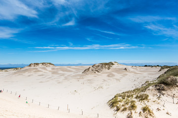 Moving dunes park near Baltic Sea in Leba, Poland - obrazy, fototapety, plakaty