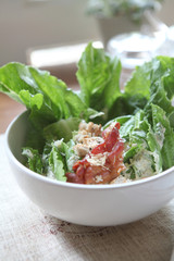 ceacar salad in close up