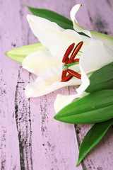 Beautiful lily on wooden background