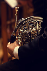 Musician holding a french horn
