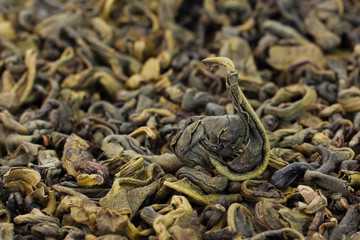 Green tea closeup