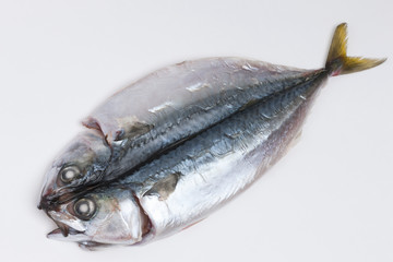 サバの干物
