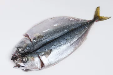 Fototapeten サバの干物 © moonrise