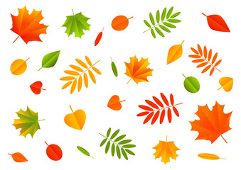 Autumn color leaves on white background