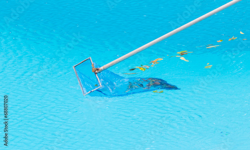 clean leaves out of pool