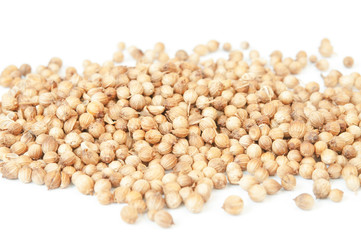 Coriander seed isolated with white background
