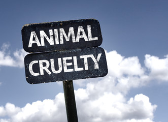 Animal Cruelty sign with clouds and sky background