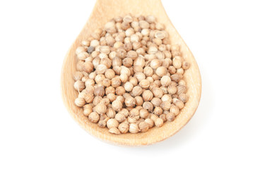 Coriander seed on wooden spoon isolated with white background.