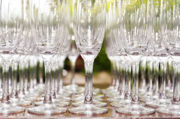 Champagne Glasses