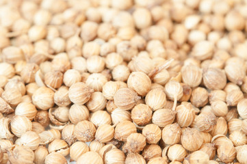 Coriander seed