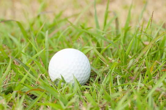 Golfball on grass infront of the green