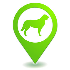 chien sur symbole localisation vert