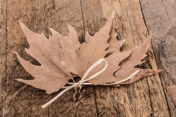 dried autumn leaves on wooden surface