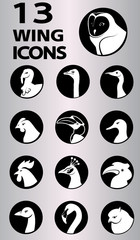 birds and creatures with wing icons collection