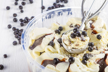 Vanilla and chocolate ice cream with blackberry scoop