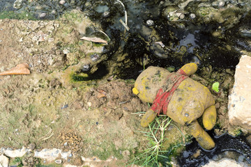 Abandoned toy doll in the mud