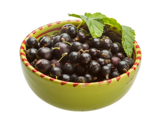 Black currant