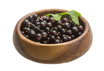 Black currant