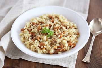 Risotto with chanterelles and summer ceps