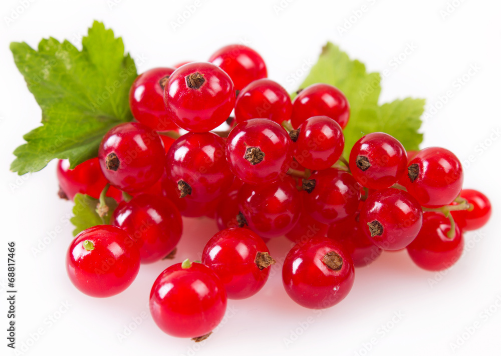 Wall mural Red currant