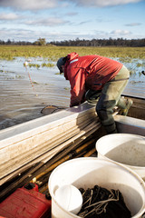 Eel Fisherman