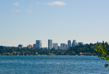 Naklejka premium Skyline of Bellevue Washington