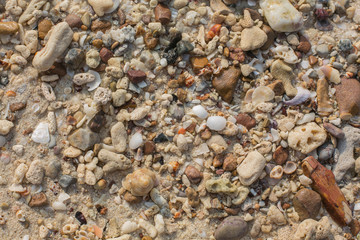 Sea shell and stone pieces texture
