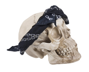 Skull Wearing a Black Bandana