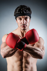 Muscular boxer wiith red gloves
