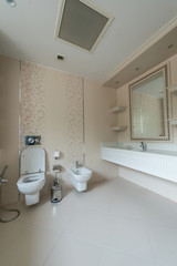 Obraz na płótnie Canvas Toilet room in the modern interior