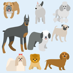 Flat modern design dogs
