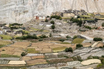 Tuinposter Citadel and monastery of Tetang village in Mustang © fredericfaure1