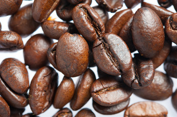 Roasted Coffee bean background