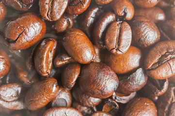 Roasted Coffee bean background with smoke on surface